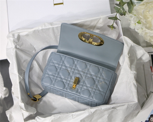 cd small di.or caro bag S*pple cannage calfskin gold tone metal blue