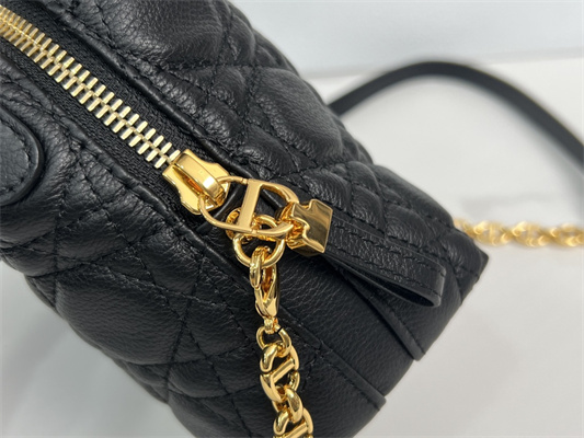 cd caro d-cosy mini bag S*pple cannage calfskin gold tone metal black