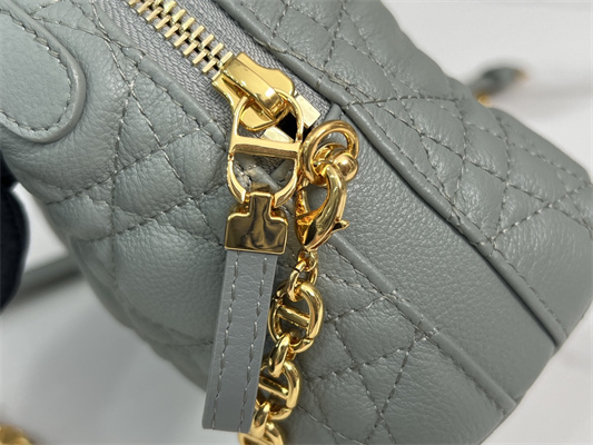 cd caro d-cosy mini bag S*pple cannage calfskin gold tone metal grey