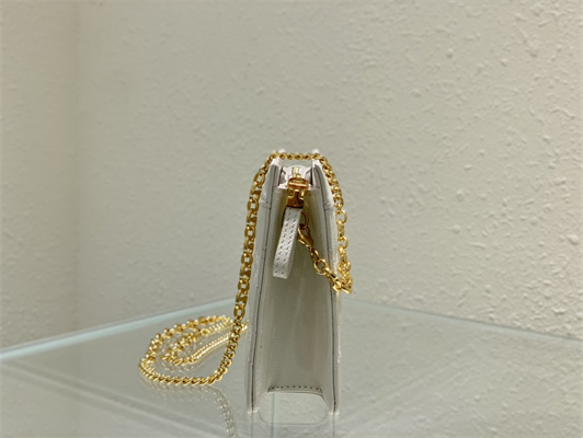 cd caro zipped pouch S*pple cannage calfskin gold tone metal white