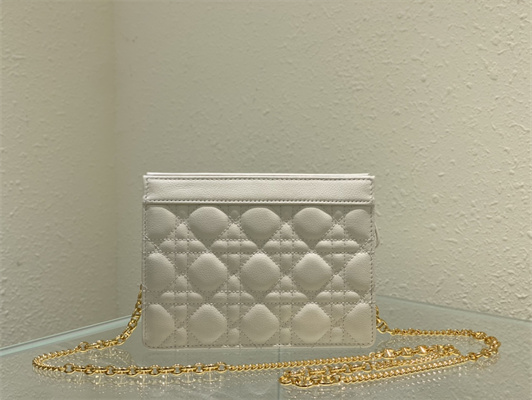 cd caro zipped pouch S*pple cannage calfskin gold tone metal white