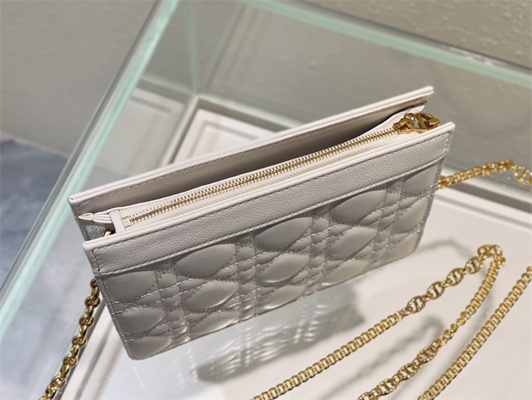 cd caro zipped pouch S*pple cannage calfskin gold tone metal white