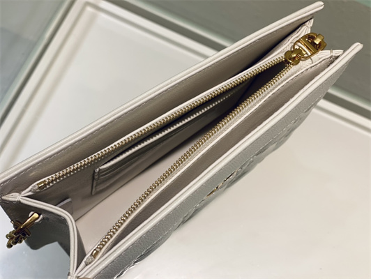 cd caro zipped pouch S*pple cannage calfskin gold tone metal white