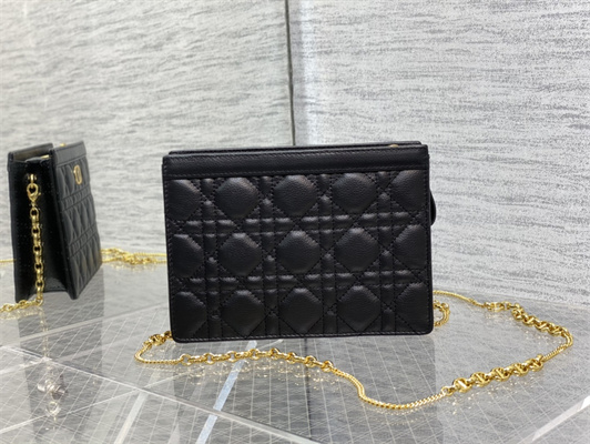 cd caro zipped pouch S*pple cannage calfskin gold tone metal black