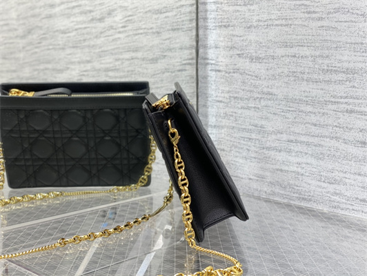 cd caro zipped pouch S*pple cannage calfskin gold tone metal black