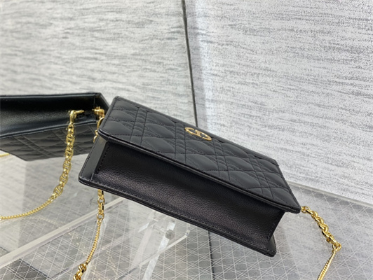 cd caro zipped pouch S*pple cannage calfskin gold tone metal black