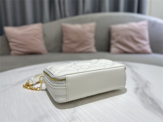 CD Caro Box Bag Macrocannage Calfskin Gold Tone Metal White