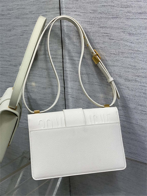 CD 30 Montaigne Bag Grained Calfskin Latte