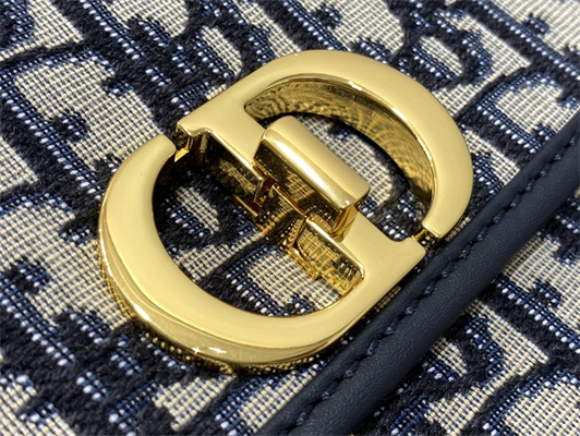 CD 30 Montaigne Avenue Bag Blue Oblique Jacquard