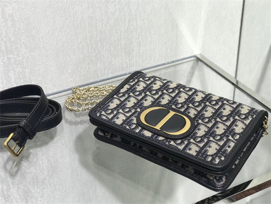 CD 30 Montaigne 2-In-1 Pouch Blue Oblique Jacquard