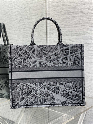 CD Large Book Tote Grey and Black Plan de Paris Embroidery