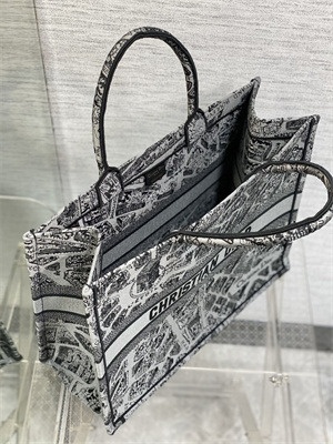 CD Large Book Tote Grey and Black Plan de Paris Embroidery
