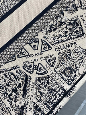 CD Large Book Tote Beige and Black Plan de Paris Embroidery