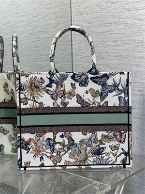 CD Large Book Tote Toile de Jouy Mexico Embroidery White Multicolor