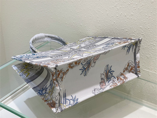 CD Large Book Tote R??ve d’Infini Embroidery Grey Multicolor