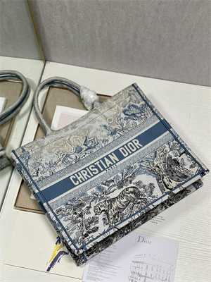 CD Large Book Tote Gradient Toile de Jouy Embroidery Blue