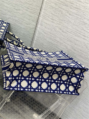 CD Large Book Tote Beige and Blue Macrocannage Embroidery