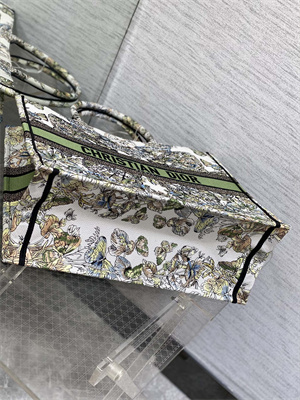 CD Large Book Tote Butterfly Around The World Embroidery White and Green