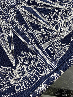 CD Large Book Tote R??ve d’Infini Embroidery Blue and White