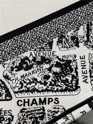 CD Medium Book Tote White and Black Plan de Paris Embroidery