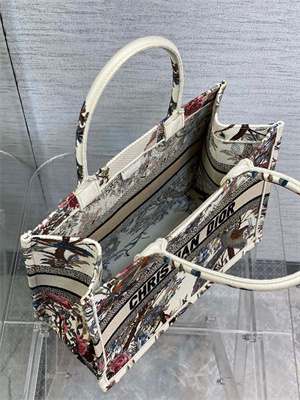 CD Medium Book Tote Jardin d’Hiver Embroidery White Multicolor