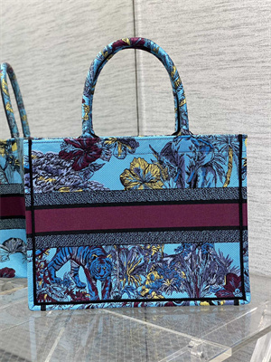 CD Medium Book Tote Voyage Toile de Jouy Embroidery Blue and Multicolor