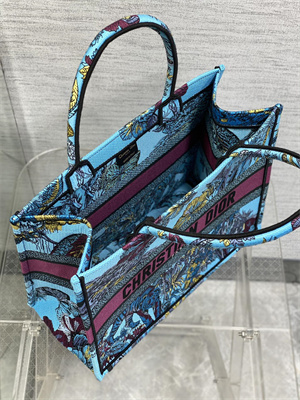 CD Medium Book Tote Voyage Toile de Jouy Embroidery Blue and Multicolor