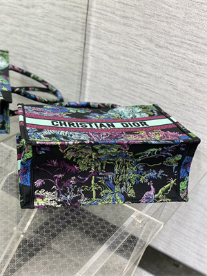 CD Medium Book Tote Voyage Toile de Jouy Embroidery Green and Multicolor