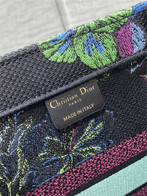 CD Medium Book Tote Voyage Toile de Jouy Embroidery Green and Multicolor