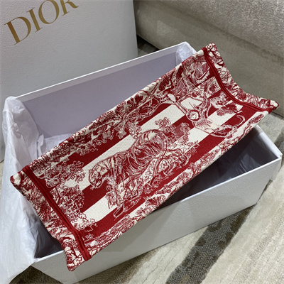 CD Medium Book Tote Stripes Toile de Jouy Embroidery White and Red