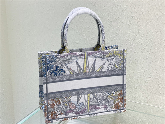 CD Medium Book Tote R??ve d’Infini Embroidery Grey