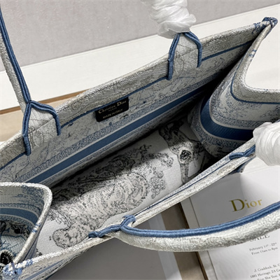 CD Medium Book Tote Gradient Toile de Jouy Embroidery Blue