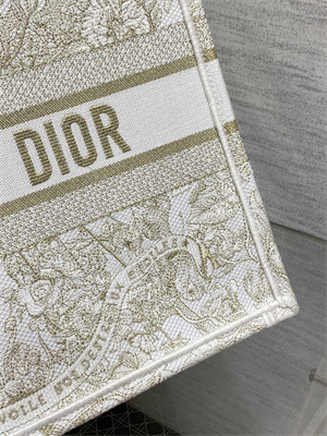 CD Medium Book Tote Butterfly Around The World Embroidery White and Gold Tone