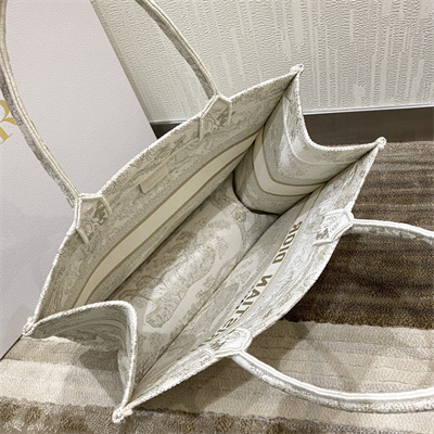 CD Medium Book Tote Toile de Jouy Embroidery White and Gold