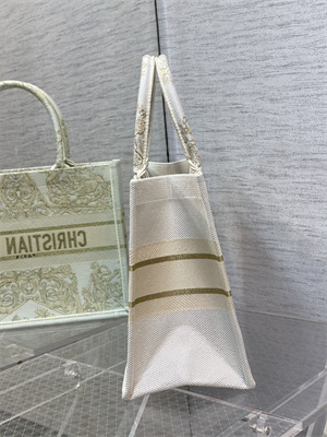 CD Medium Book Tote R??ve d’Infini Embroidery White and Gold Tone
