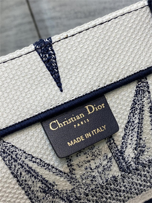 CD Medium Book Tote R??ve d’Infini Embroidery White and Blue