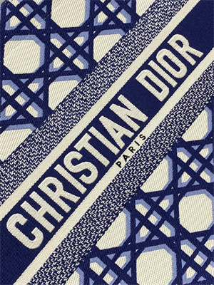 CD Medium Book Tote Beige and Blue Macrocannage Embroidery