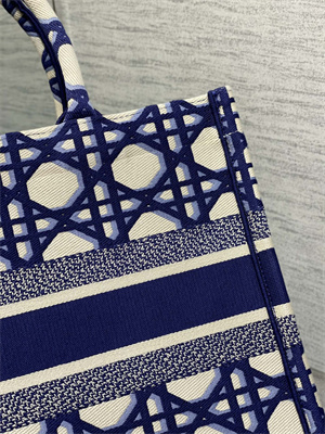 CD Medium Book Tote Beige and Blue Macrocannage Embroidery