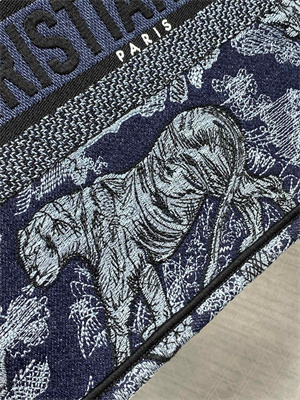 CD Medium Book Tote Toile de Jouy Embroidery Denim Blue