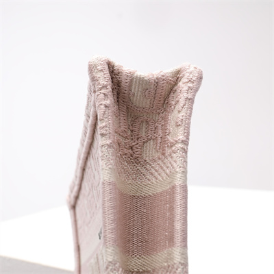 CD Mini Book Tote Pink Oblique Embroidery