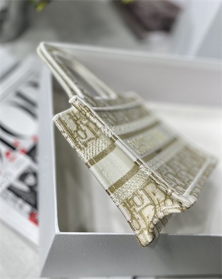 CD Mini Book Tote Oblique Embroidery White and Gold Tone