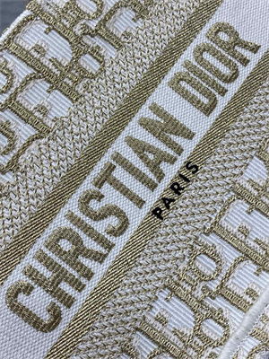 CD Mini Book Tote With Strap Oblique Embroidery White and Gold Tone