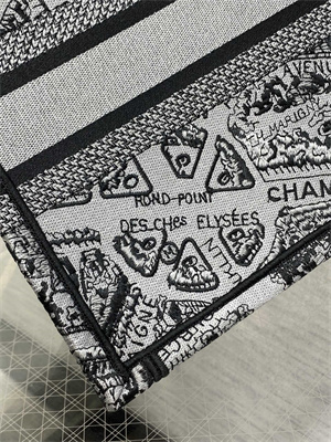 CD Small Book Tote Grey and Black Plan de Paris Embroidery