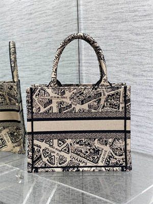 CD Small Book Tote Beige and Black Plan de Paris Embroidery