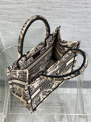 CD Small Book Tote Beige and Black Plan de Paris Embroidery