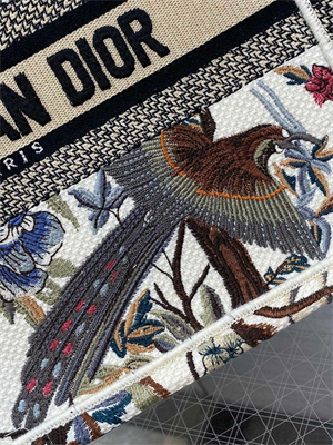 CD Small Book Tote Jardin d’Hiver Embroidery White Multicolor