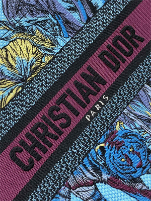 CD Small Book Tote Voyage Toile de Jouy Embroidery Blue Multicolor