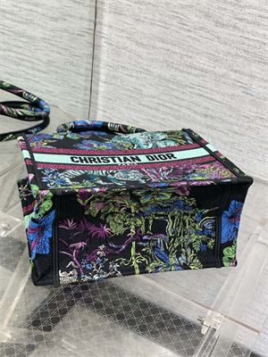 CD Small Book Tote Voyage Toile de Jouy Embroidery Green Multicolor