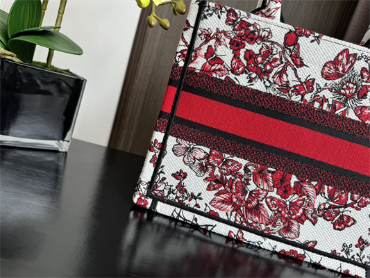 CD Small Book Tote Le Ceour des Papillons Embroidery White and Red