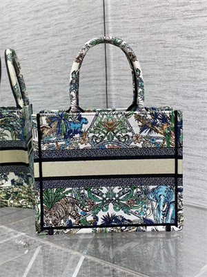 CD Small Book Tote ??toile de Voyage Embroidery Green Multicolor